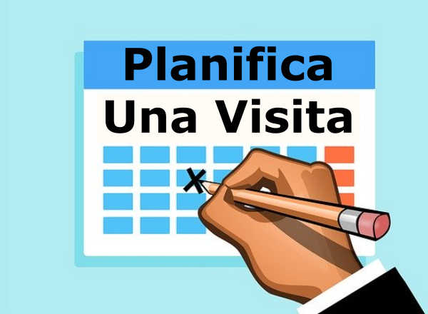 Planificar una visita a la Iglesia.